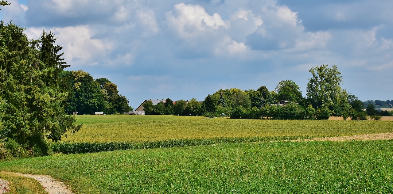 Kraštovaizdis,  Kaimo,  Vaizdingas,  Pobūdį,  Vasara,  Poilsio,  Idilė,  Žemdirbystė,  Nuotaika,  Meadow