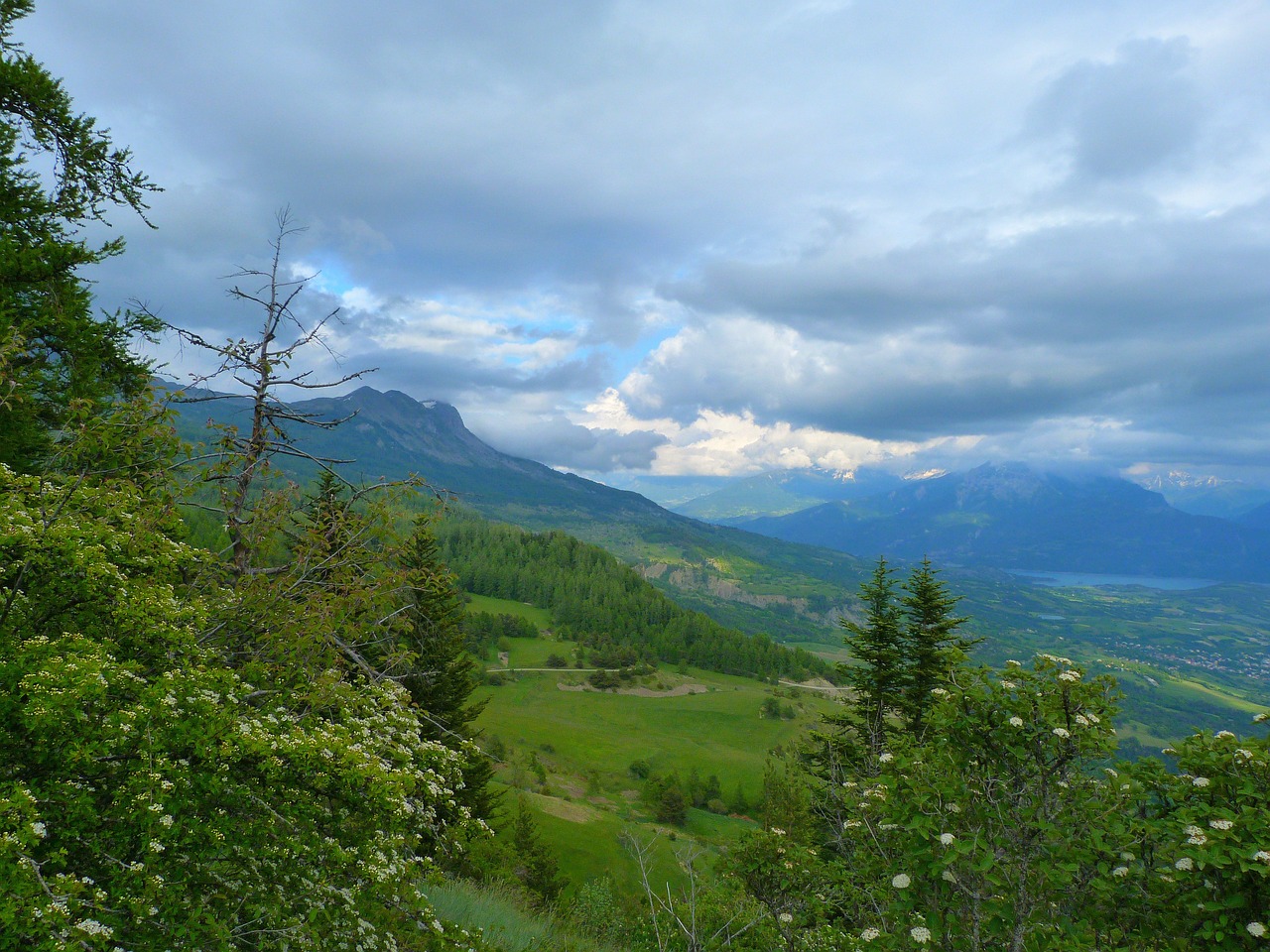 Kraštovaizdis, Gamta, Kalnas, Alpės, Hautes Alpes, Dangus, Debesys, Miškas, Prairie, Promenada