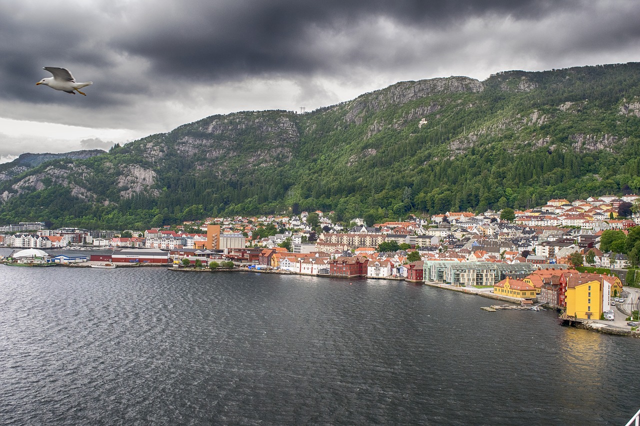 Kraštovaizdis,  Bergen,  Paukščiai,  Norvegija, Nemokamos Nuotraukos,  Nemokama Licenzija