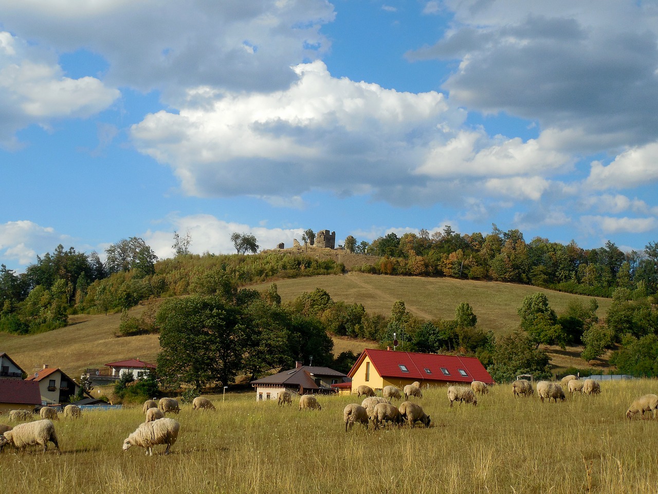 Kraštovaizdis,  Avių,  Hill,  Kaimo,  Pobūdį,  Debesys,  Dangus,  Griuvėsiai,  Pilis, Nemokamos Nuotraukos