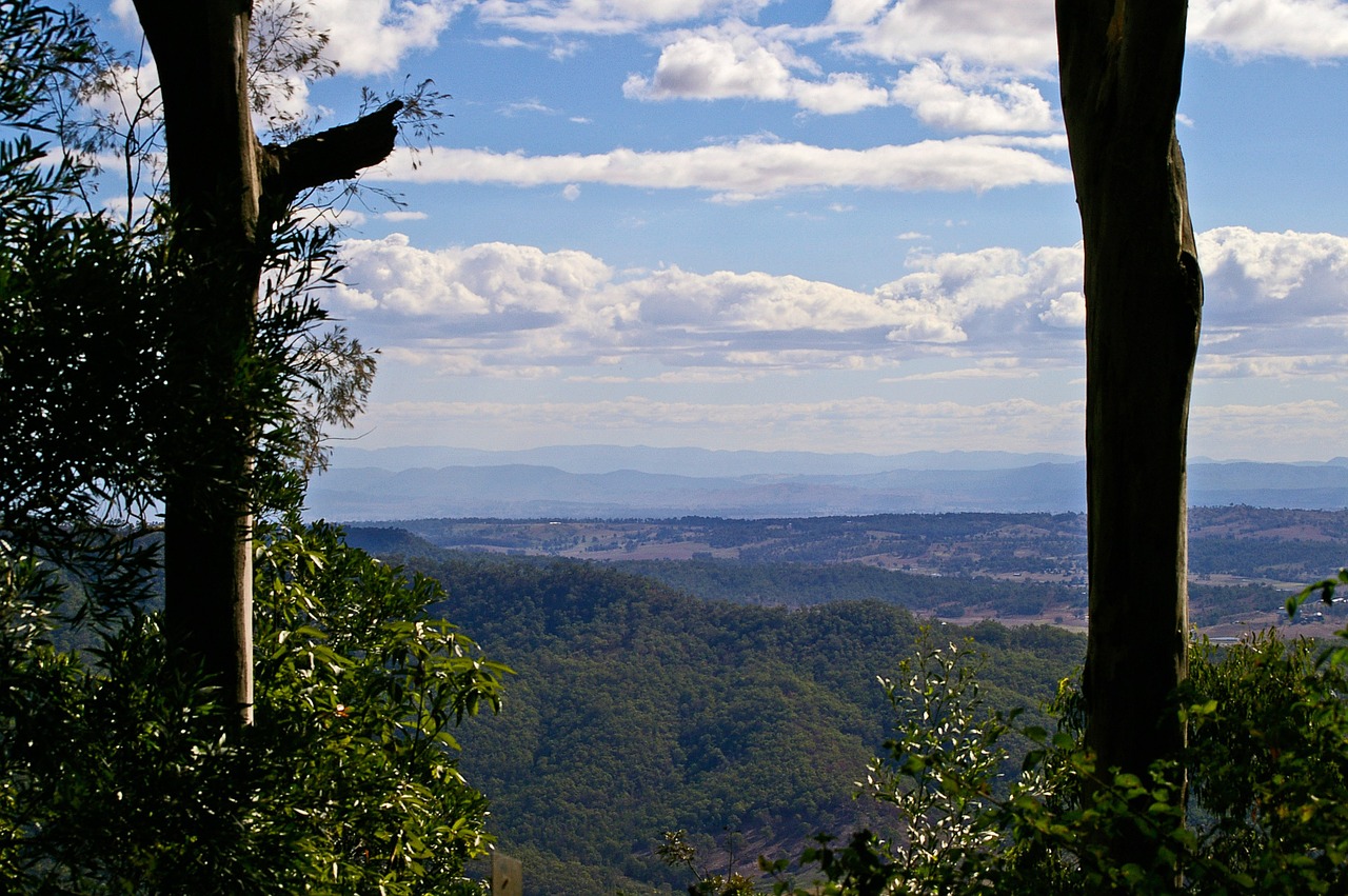 Kraštovaizdis, Medžiai, Kaimas, Peržiūros, Atstumas, Peizažas, Australia, Queensland, Saulėtas, Dangus