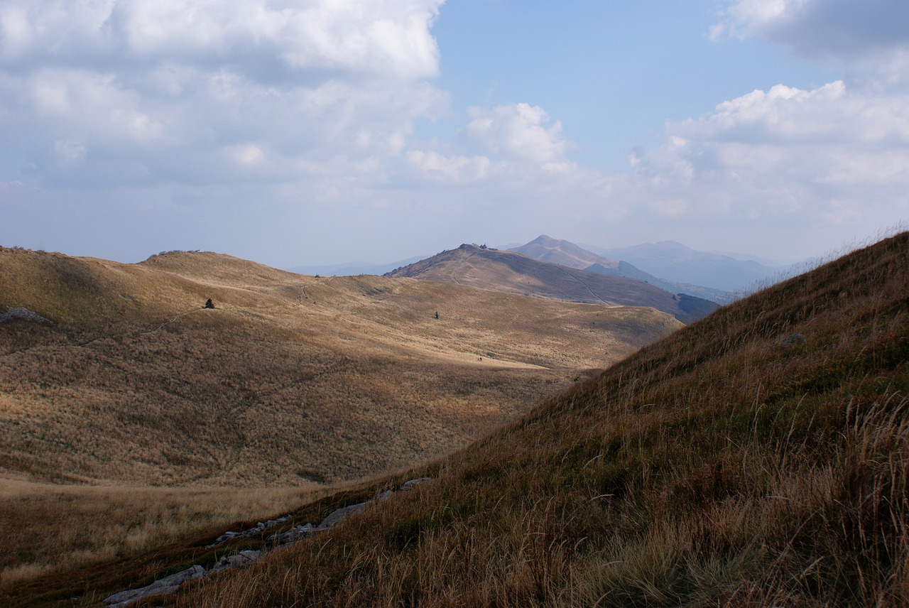 , Nemokamos Nuotraukos,  Nemokama Licenzija