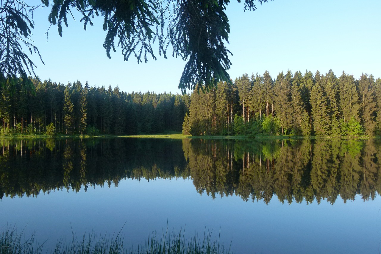 Kraštovaizdis, Gamta, Ežeras, Idilija, Derva, Miškas, Medžiai, Veidrodis, Įspūdingas, Nemokamos Nuotraukos