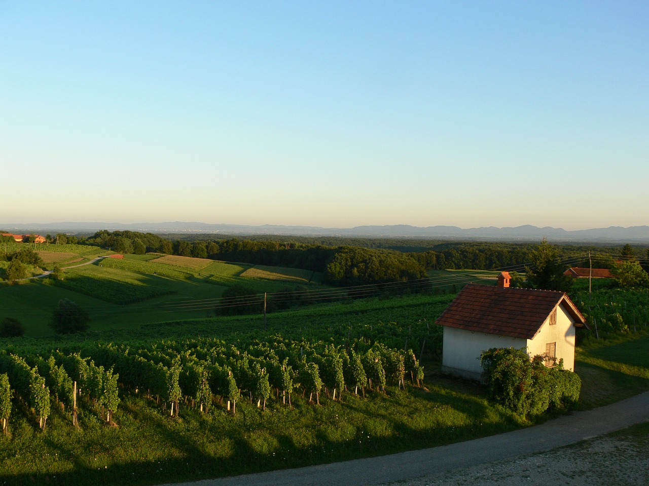 Kraštovaizdis, Gamta, Saulėlydis, Vynuogynas, Slovenia, Nemokamos Nuotraukos,  Nemokama Licenzija