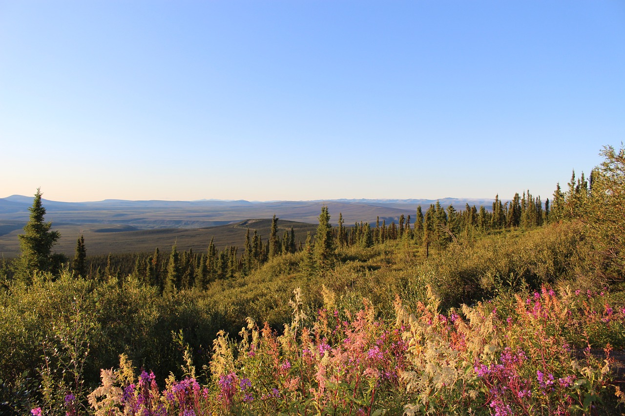 Kraštovaizdis, Dempsso Greitkelis, Erelio Lygumos, Jukonas, Kanada, Saulėlydis, Richardson Kalnai, Panorama, Nemokamos Nuotraukos,  Nemokama Licenzija