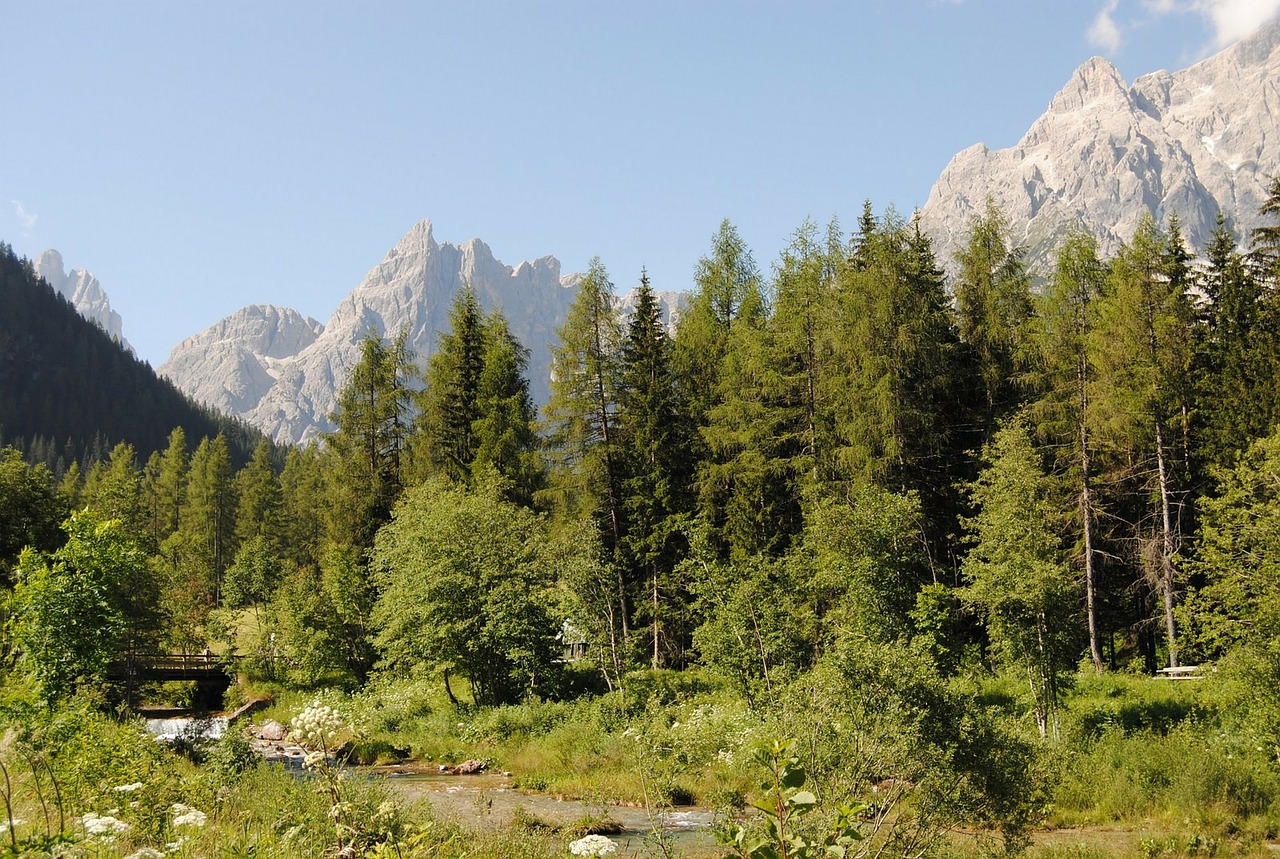 Kraštovaizdis, Dolomitai, Kalnai, Medžiai, Dolomiti Di Sesto, Žygiai, Italy, Nemokamos Nuotraukos,  Nemokama Licenzija