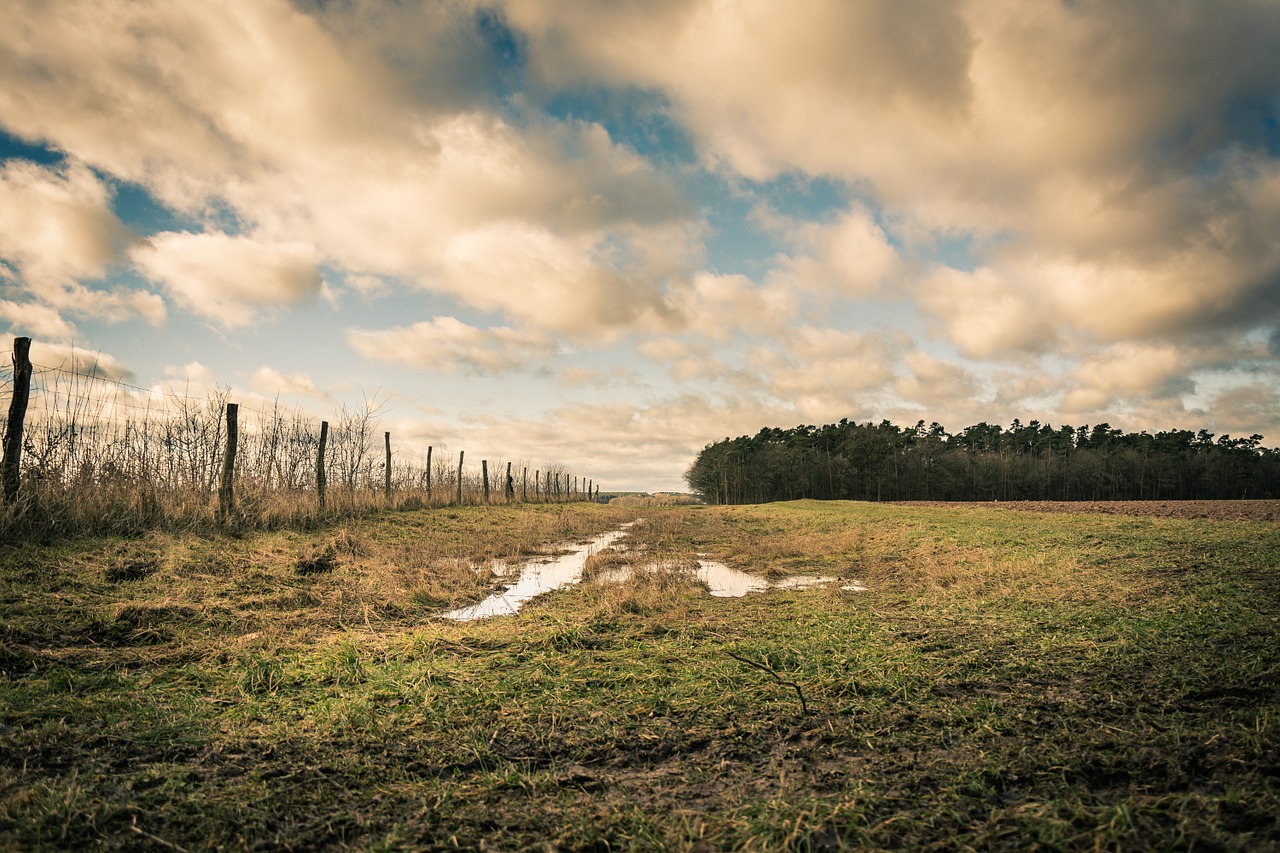 Kraštovaizdis, Debesys, Vaizdas, Toli, Medžiai, Šviesiai Oranžinė, Atmosfera, Pieva, Šešėlis, Gamta