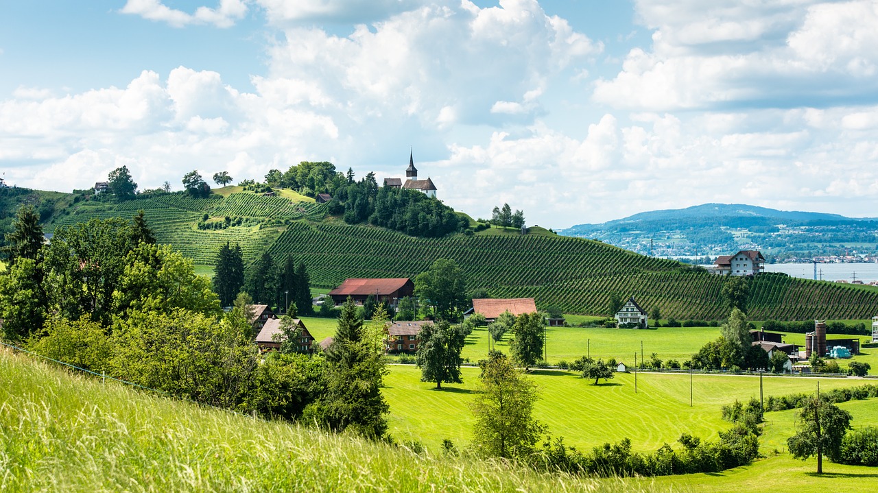 Kraštovaizdis, Vynuogynai, Koplyčia, Vynas, Gamta, Juokas-Zürichsee, Nemokamos Nuotraukos,  Nemokama Licenzija