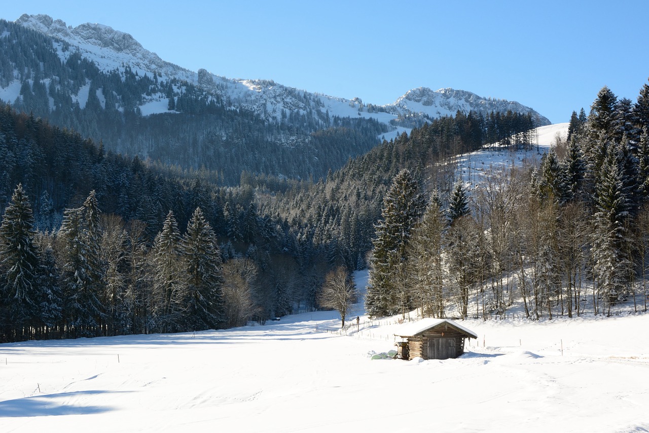 Kraštovaizdis, Bavarija, Žiema, Gamta, Miškas, Kalnai, Viršutinė Bavarija, Sniegas, Žiemą, Panorama