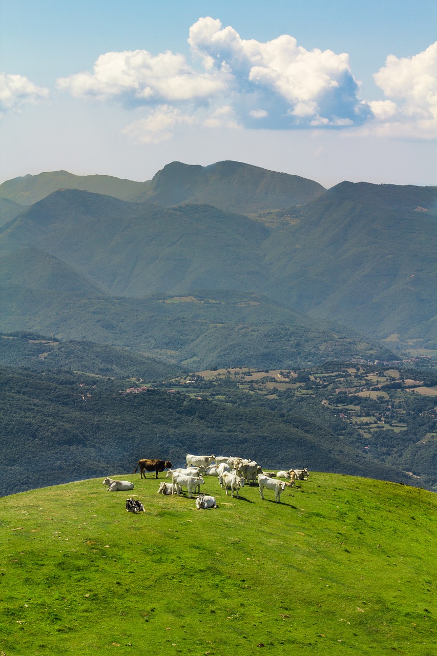 Kraštovaizdis, Italy, Gamta, Kalnas, Dangus, Debesis, Kalvos, Karvės, Nemokamos Nuotraukos,  Nemokama Licenzija