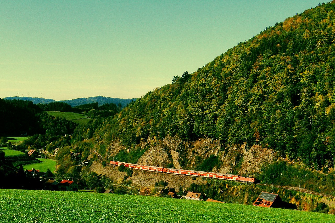 Kraštovaizdis, Traukinys, Geležinkelis, Kalnai, Miškas, Medžiai, Miškai, Laukai, Žolė, Augalai