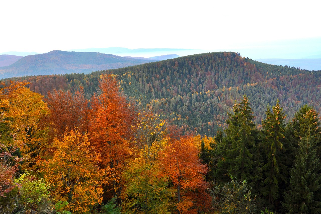 Kraštovaizdis, Kalnai, Ruduo, Kritimas, Sezonai, Slėnis, Dangus, Miškas, Medžiai, Miškai