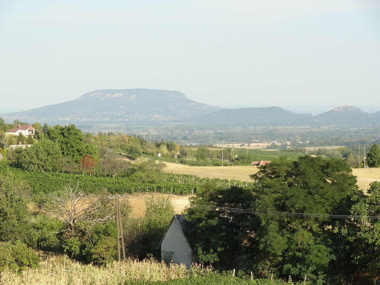 Kraštovaizdis, Balaton Ežeras, Badacsony, Vynuogė, Nemokamos Nuotraukos,  Nemokama Licenzija