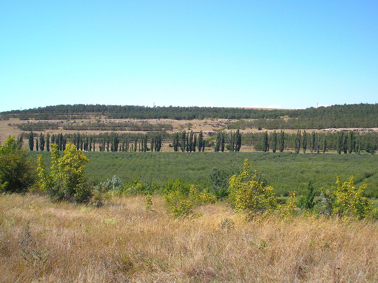 Kraštovaizdis, Vaizdingas, Vista, Rusija, Dangus, Debesys, Miškas, Medžiai, Augalai, Laukai