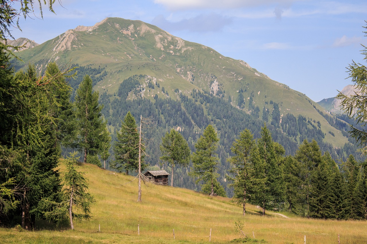 Kraštovaizdis,  Alpių,  Austria,  Karintija,  Lesachtal,  Kalnai,  Gamta,  Vasara,  Alm,  Žemdirbystė