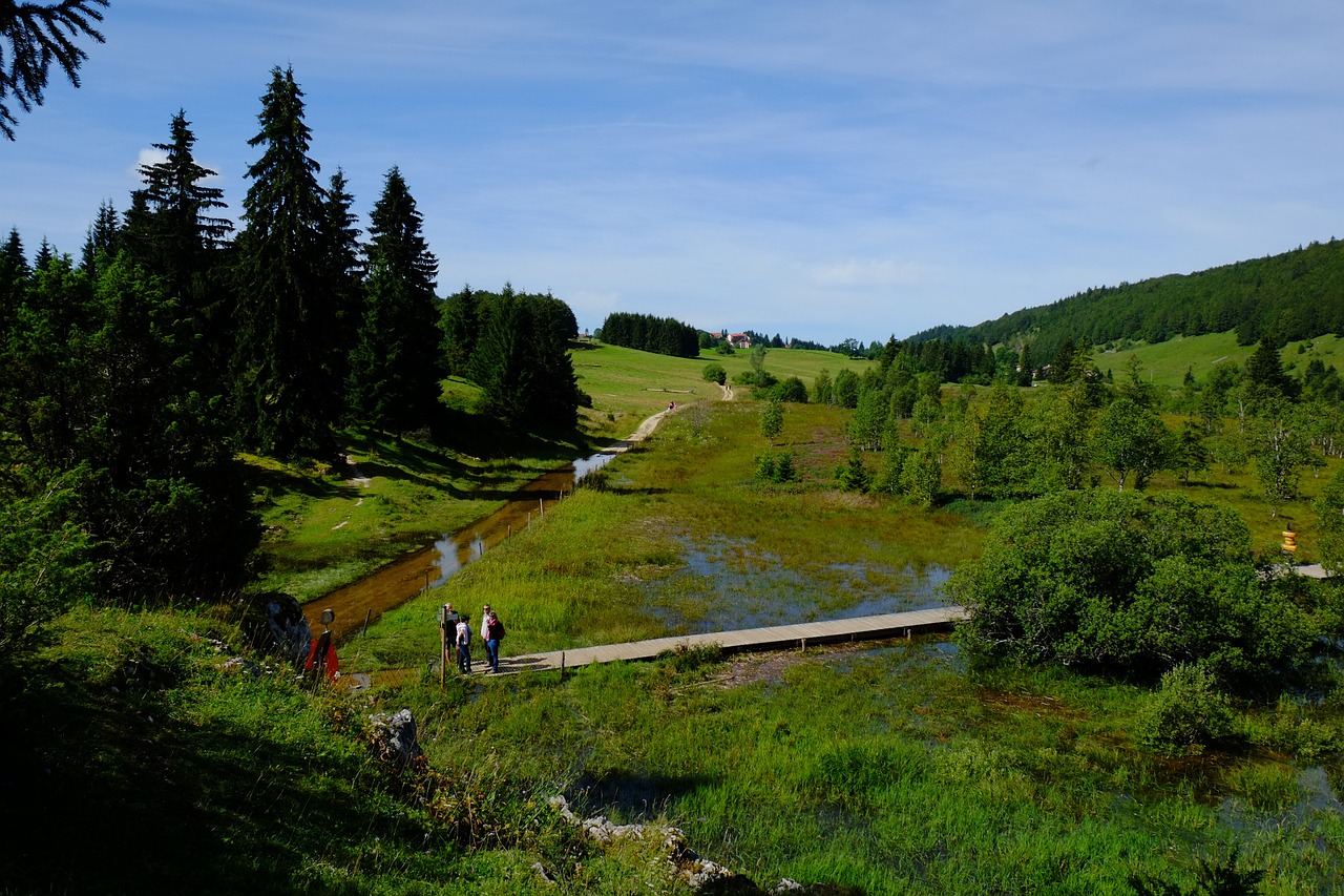 Kraštovaizdis,  Jura,  Ežeras, Nemokamos Nuotraukos,  Nemokama Licenzija