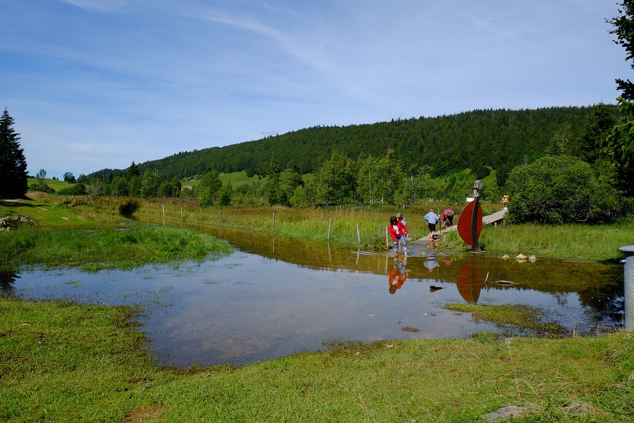 Kraštovaizdis,  Jura,  Ežeras,  Raudonukai,  Laukas,  Gamta, Nemokamos Nuotraukos,  Nemokama Licenzija