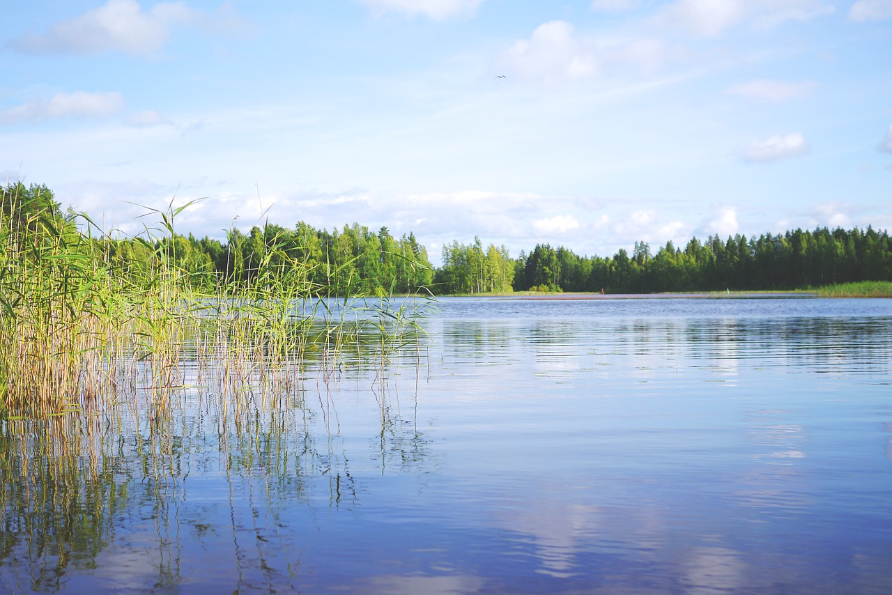 Kraštovaizdis,  Ežeras,  Gamta,  Vanduo,  Finland,  Skandinavija,  Poilsis,  Taikus,  Vasara,  Šventė