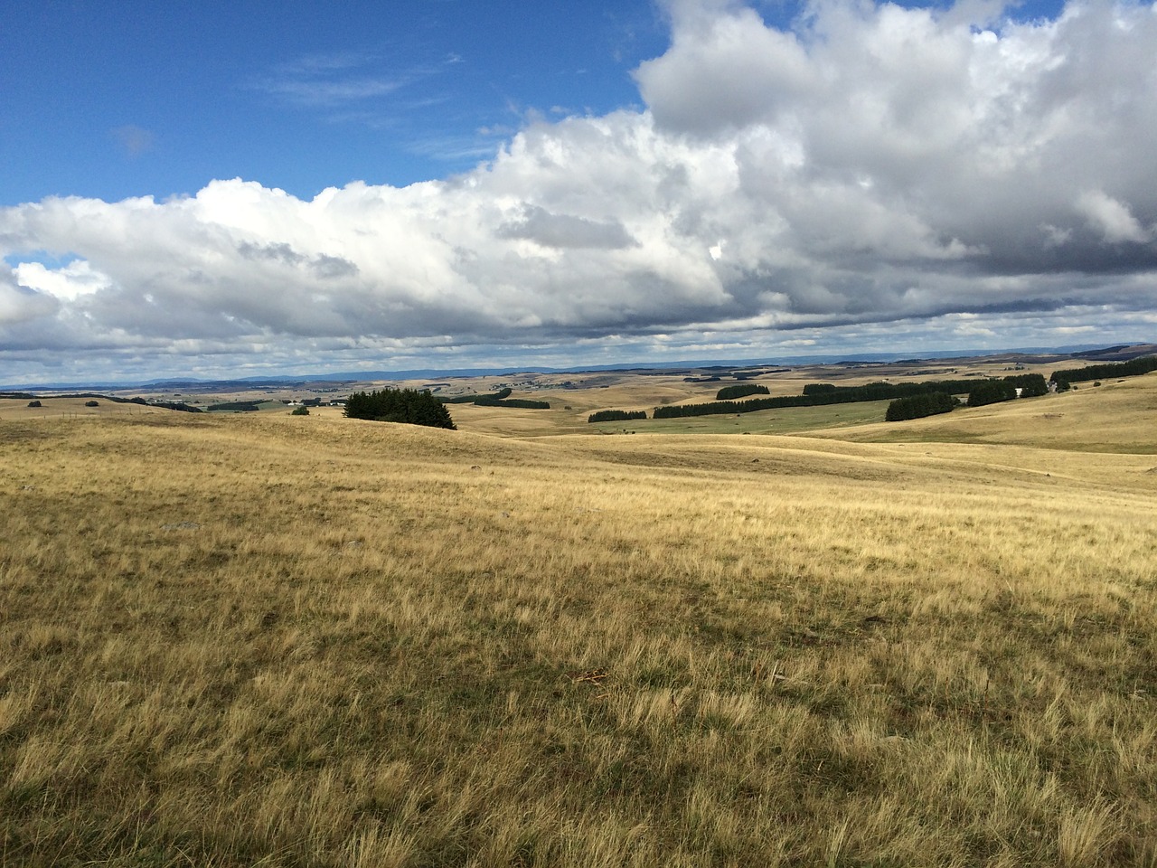 Kraštovaizdis, Laukai, Aubrac, France, Laukas, Gamtos Laukai, Nemokamos Nuotraukos,  Nemokama Licenzija