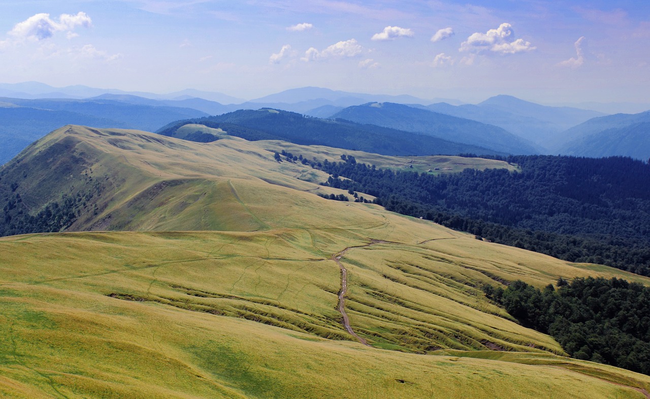 Kraštovaizdis, Gamta, Kalnai, Pievos, Lenkija, Peizažas, Medis, Vanduo, Miškas, Vaizdas