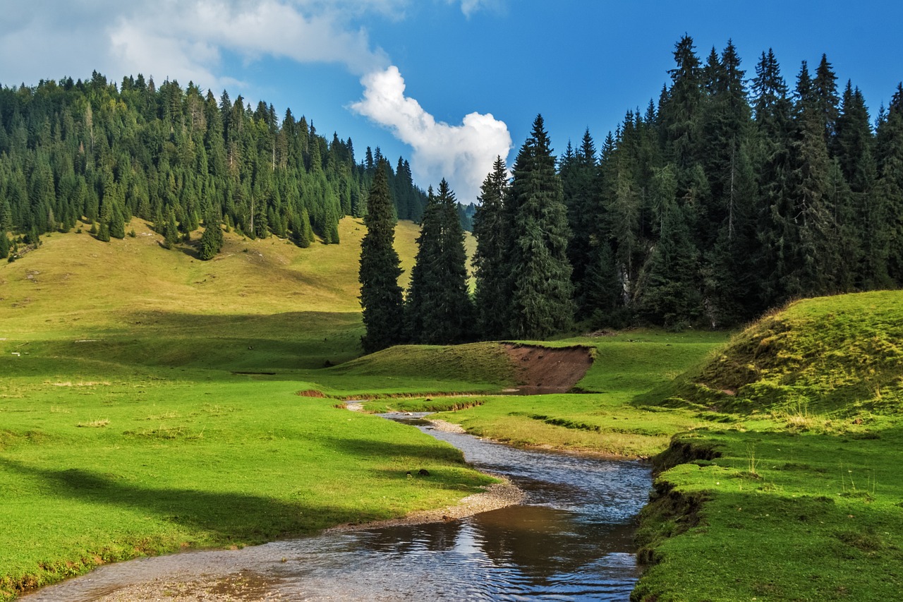 Kraštovaizdis, Gamta, Miškas, Saulės Šviesa, Nuotaika, Laukas, Kaimo Kraštovaizdis, Rumunija, Transilvanija, Bihar Kalnai