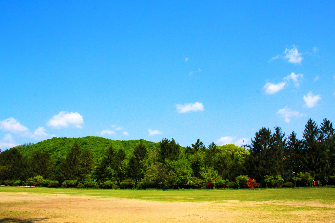 Kraštovaizdis, Gamta, Peizažas, Arboretum, Laukas, Sodas, Miškas, Mediena, Kalnas, Dangus