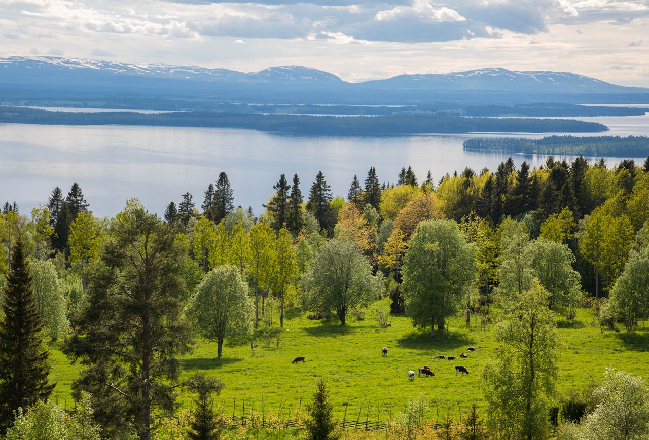 Peizažai, Kalnas, Švedija, Vaizdas, Gamta, Vanduo, Didelis Ežeras, Oviksfjällen, Nemokamos Nuotraukos,  Nemokama Licenzija