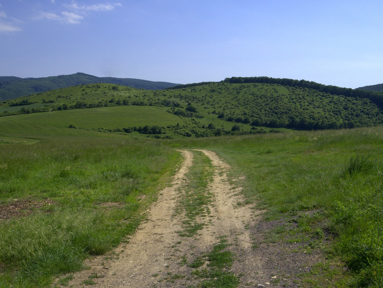 Juostos, Pieva, Šalis, Gamta, Miškas, Kalnai, Slovakija, Pohronský Inovec, Nemokamos Nuotraukos,  Nemokama Licenzija