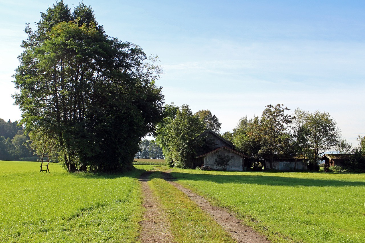 Juostos, Laukas, Pieva, Toli, Gamtos Takas, Gamta, Žolė, Tvartas, Medžio Tvartas, Skalė