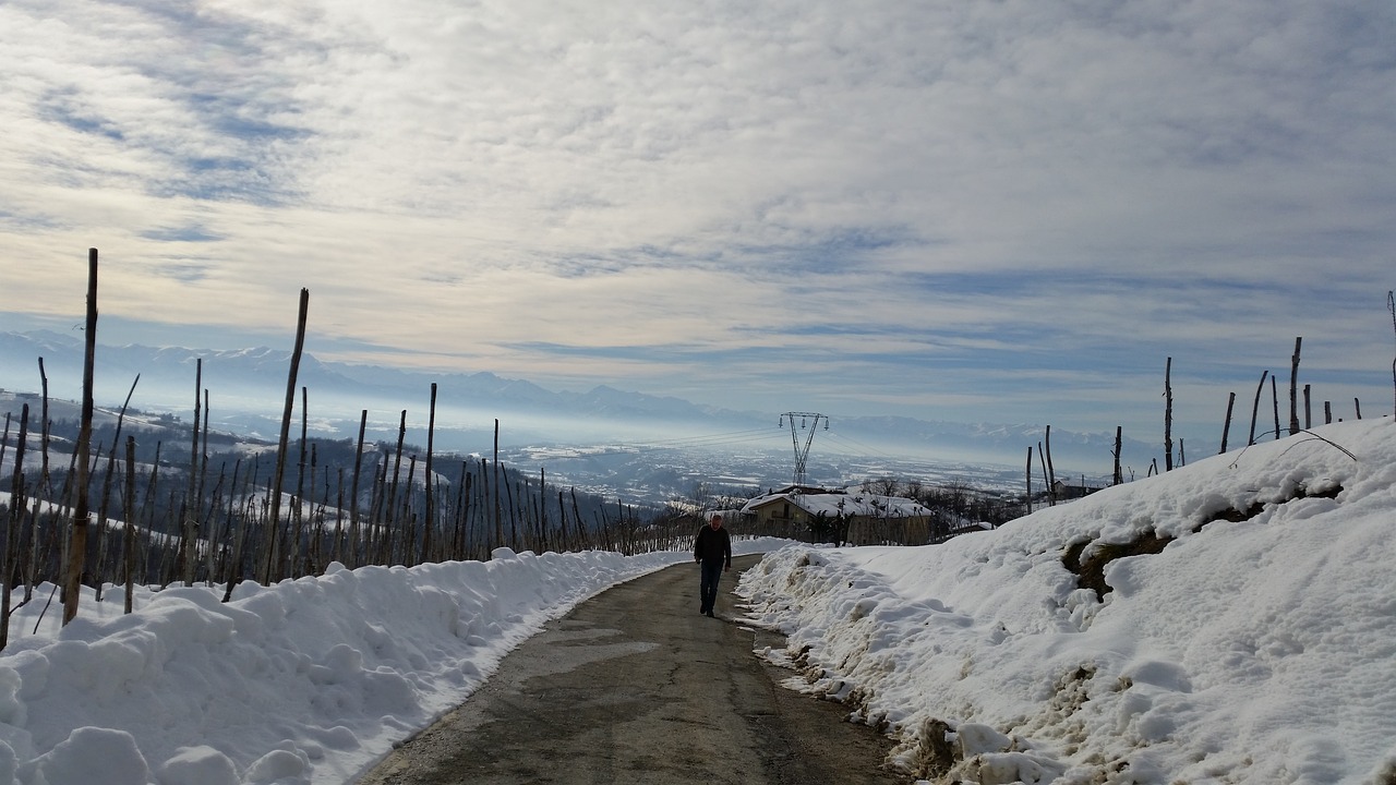 Langhe, Vynuogynai, Žiema, Nemokamos Nuotraukos,  Nemokama Licenzija