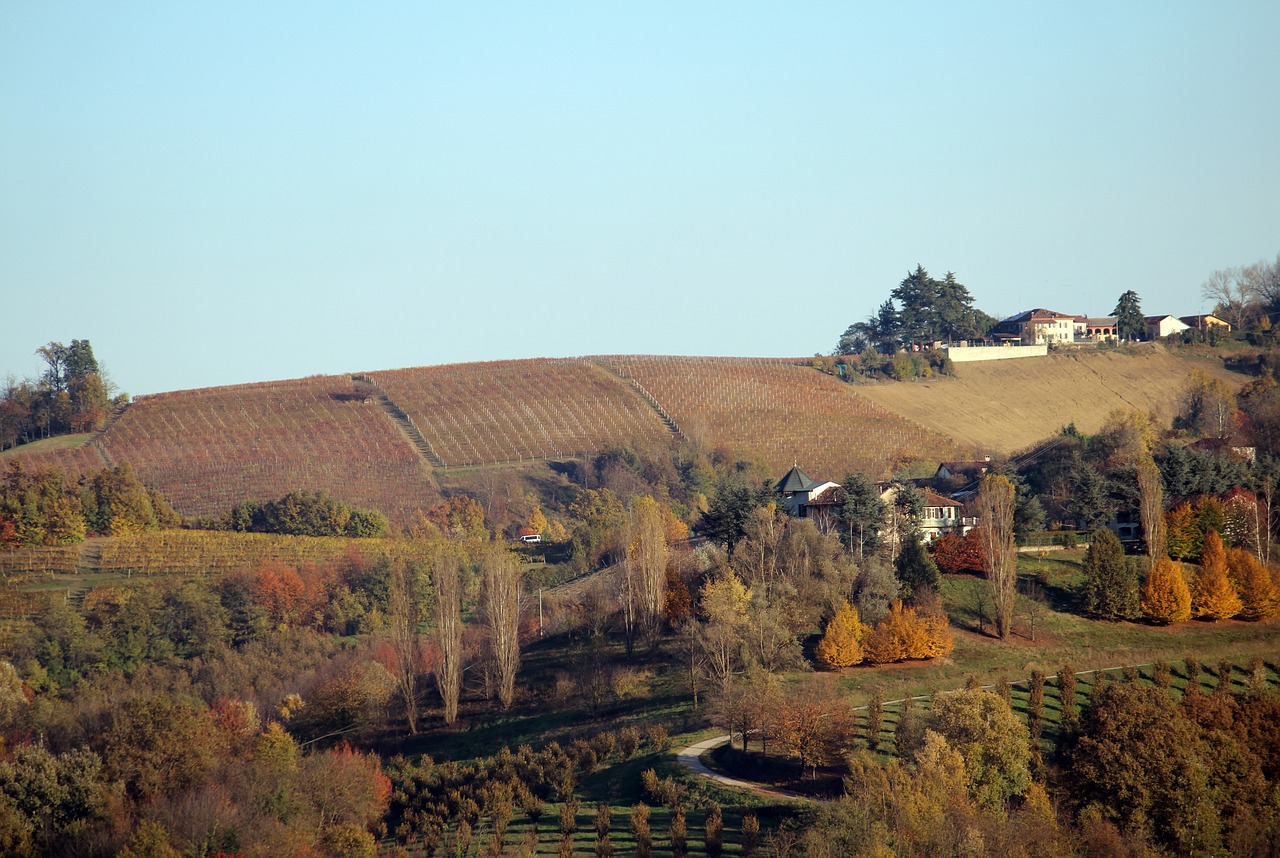 Langhe, Unesco, Barolo, Nemokamos Nuotraukos,  Nemokama Licenzija