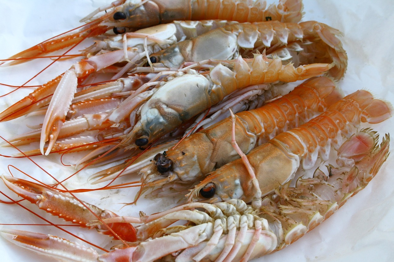 Langoustinas, Vėžiagyviai, Jūros Gėrybės, Skanus, Patiekalas, Virtuvė, Nemokamos Nuotraukos,  Nemokama Licenzija