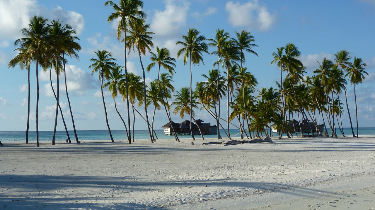 Lankanfushi, Maldivermna, Salos Rojus, Papludimys, Šventė, Prabangios Kelionės, Medaus Mėnuo, Nemokamos Nuotraukos,  Nemokama Licenzija