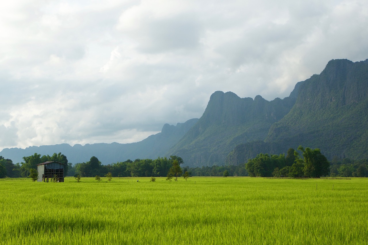 Laosas, Ryžių Laukai, Žalias, Šalis, Namelis, Nemokamos Nuotraukos,  Nemokama Licenzija