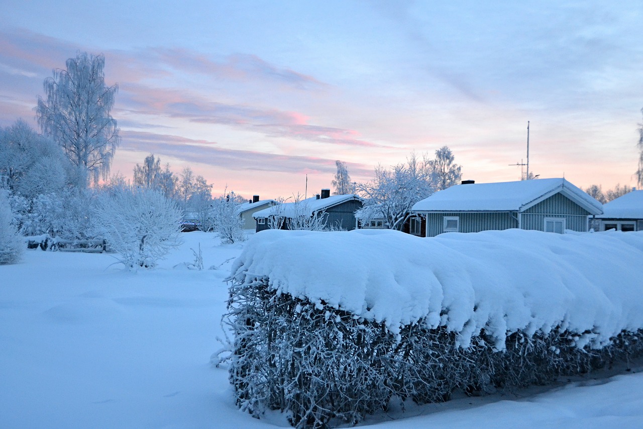 Laplandas, Švedija, Žiemą, Sniegas, Nemokamos Nuotraukos,  Nemokama Licenzija