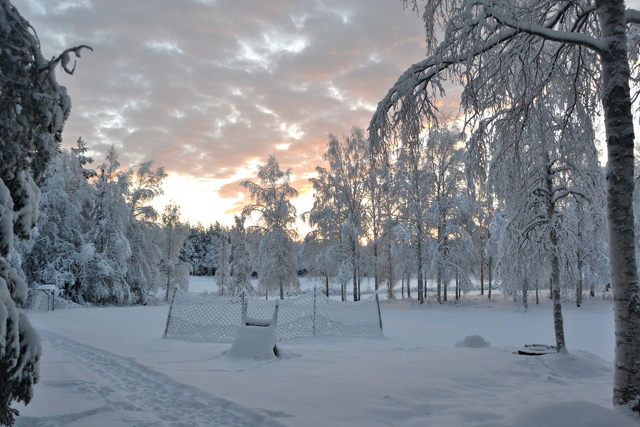 Laplandas, Švedija, Žiemą, Kraštovaizdis, Sniegas, Nemokamos Nuotraukos,  Nemokama Licenzija