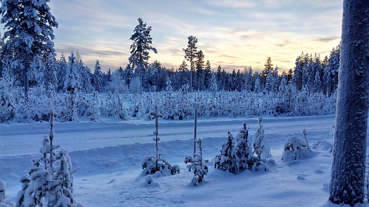 Laplandas, Švedija, Žiemą, Sniegas, Nemokamos Nuotraukos,  Nemokama Licenzija