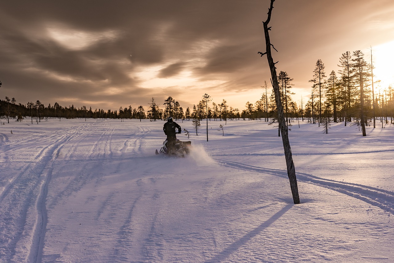 Laplandas, Poliarinė Žiema, Sniegomobilis, Žiema, Sportas, Slidinėjimo Doo, Sniego Transporto Priemonė, Vidurdienio Saulė, Linksma, Žiemos Sportas