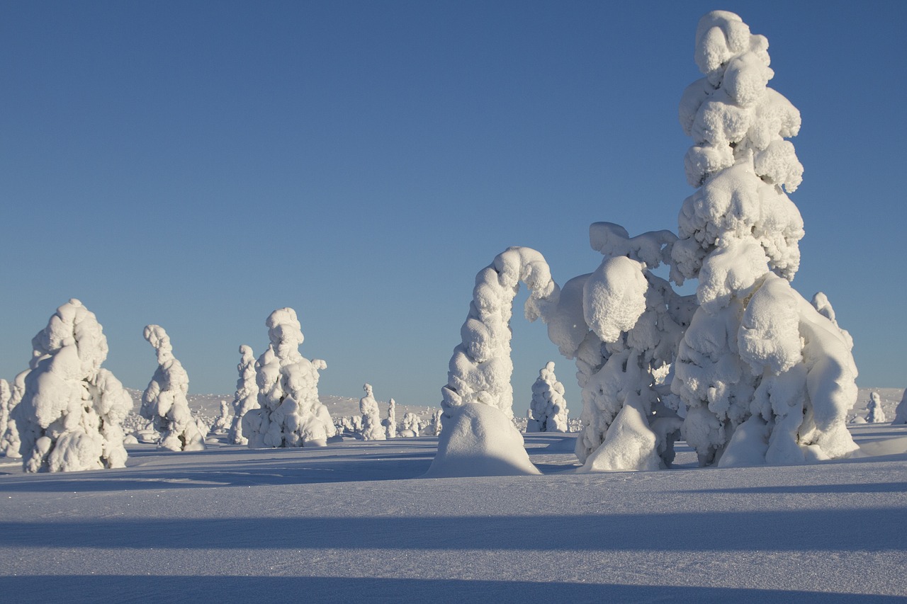 Laplandas, Žiema, Sniegas, Kraštovaizdis, Žiemą, Finland, Šaltas, Snieguotas, Sniego Kraštovaizdis, Žiemos Nuotaika