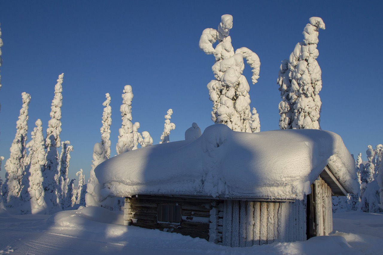 Laplandas, Žiema, Sniegas, Žiemą, Finland, Šaltas, Snieguotas, Sniego Kraštovaizdis, Žiemos Nuotaika, Gamta