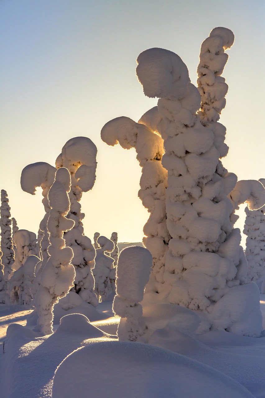 Laplandas, Žiema, Sniegas, Žiemą, Finland, Šaltas, Snieguotas, Sniego Kraštovaizdis, Žiemos Nuotaika, Gamta