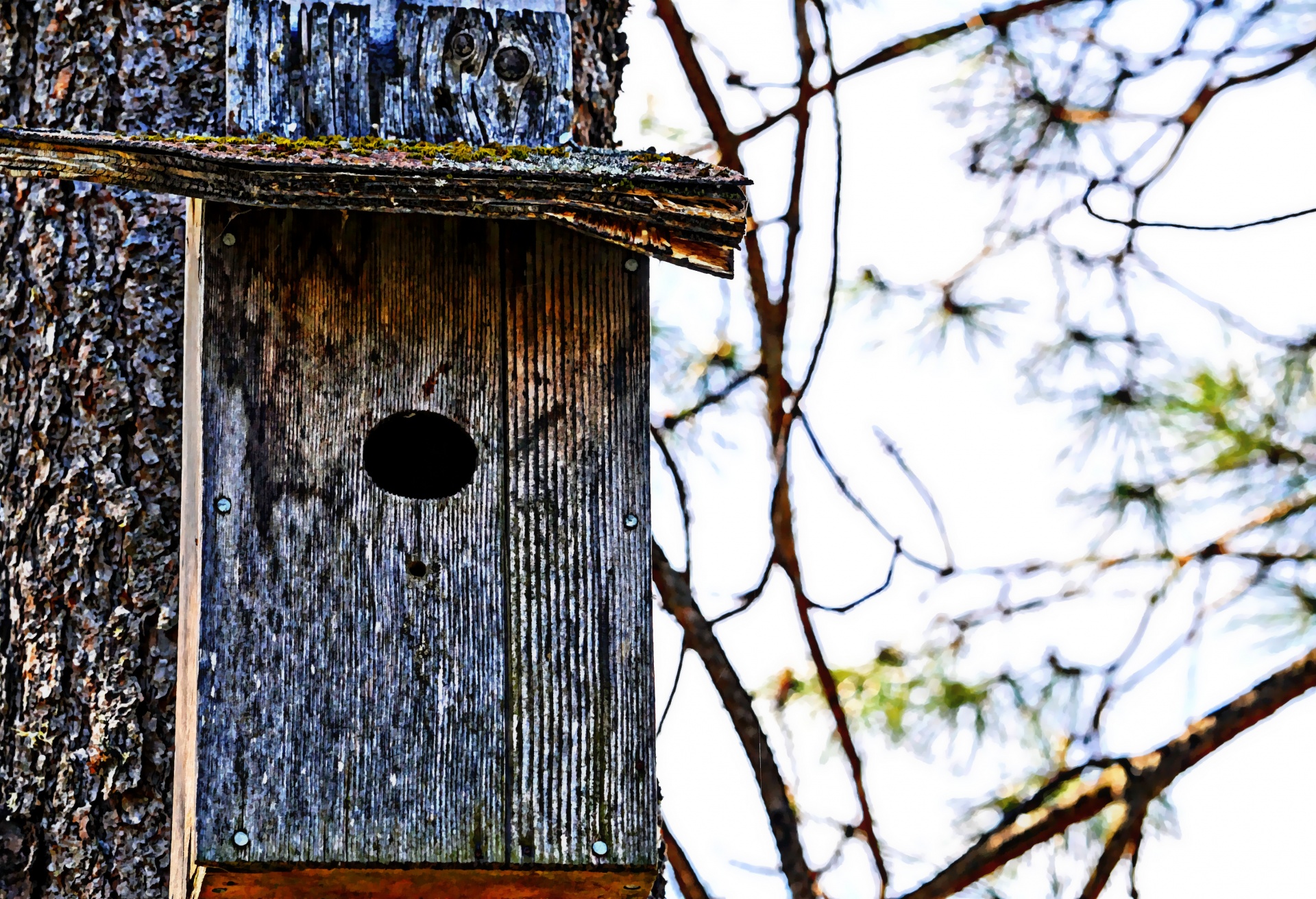 Birdhouse,  Paukštis & Nbsp,  Namas,  Medis,  Pušis & Nbsp,  Medis & Nbsp,  Paukštis,  Medinis,  Pinetree,  Paukščiai