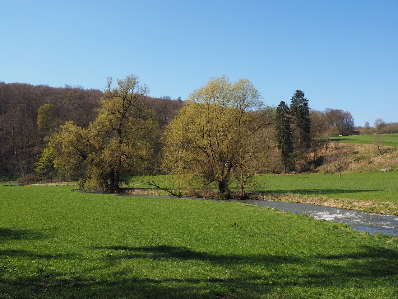 Didelis Lautertalas, Garsiau, Upė, Bachas, Idiliškas, Pieva, Swabian Alb, Gamta, Baden Württemberg, Nemokamos Nuotraukos