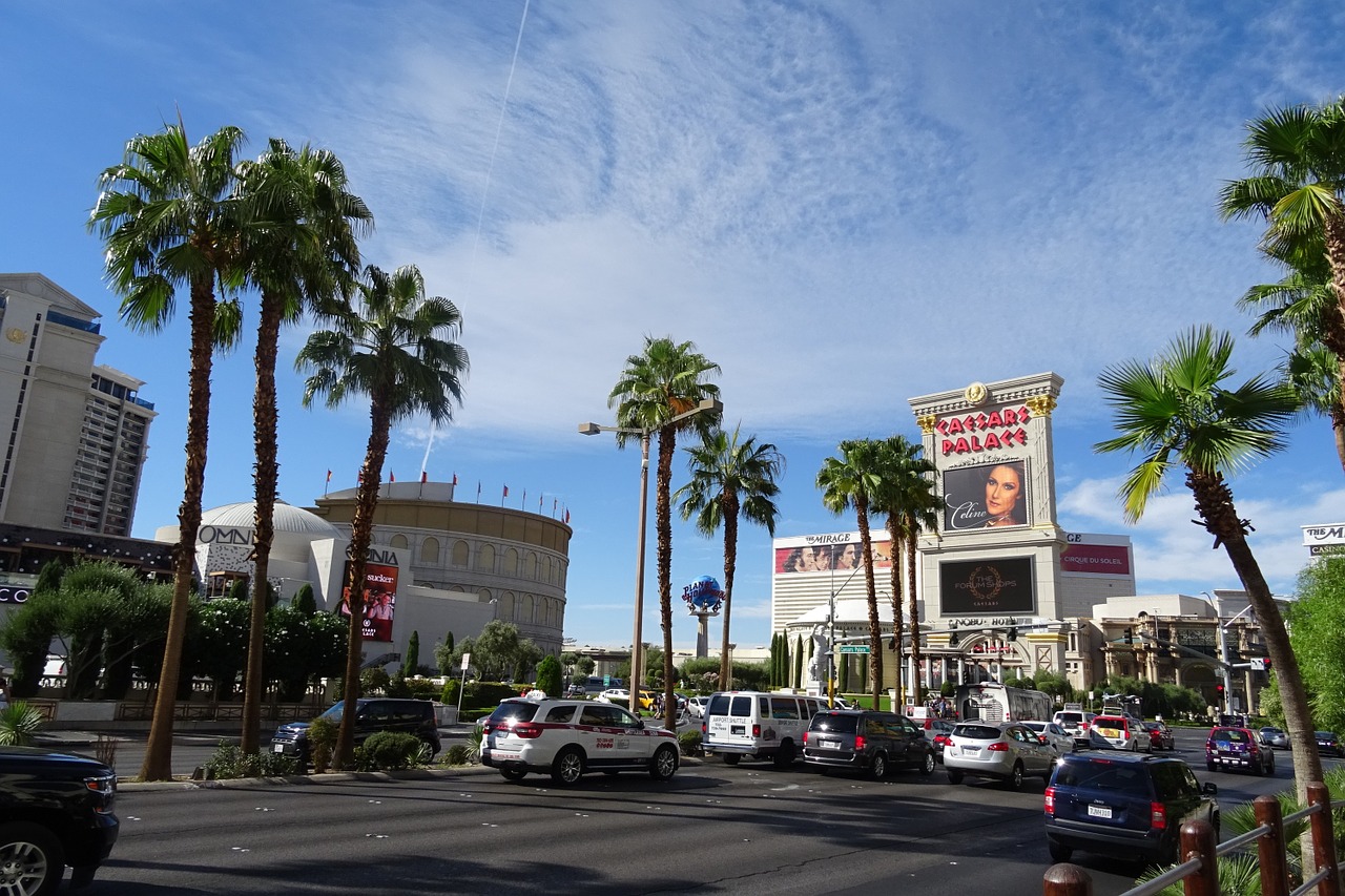 Las Vegasas, Juostos, Pramogos, Turizmas, Viešbutis, Kazino, Vegas, Washingtonia Filifera, Dykumos Ventiliatoriaus Palmė, Kalifornijos Ventiliatoriaus Palmė