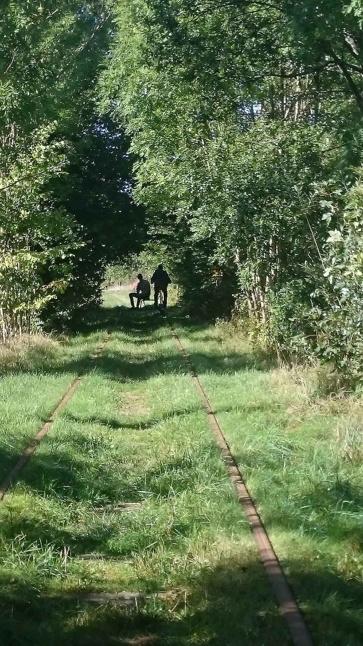 Vasaros Pabaigoje, Vežimėlis, Skåne, Miškas, Parkas, Žalias, Gamta, Trasa, Nemokamos Nuotraukos,  Nemokama Licenzija