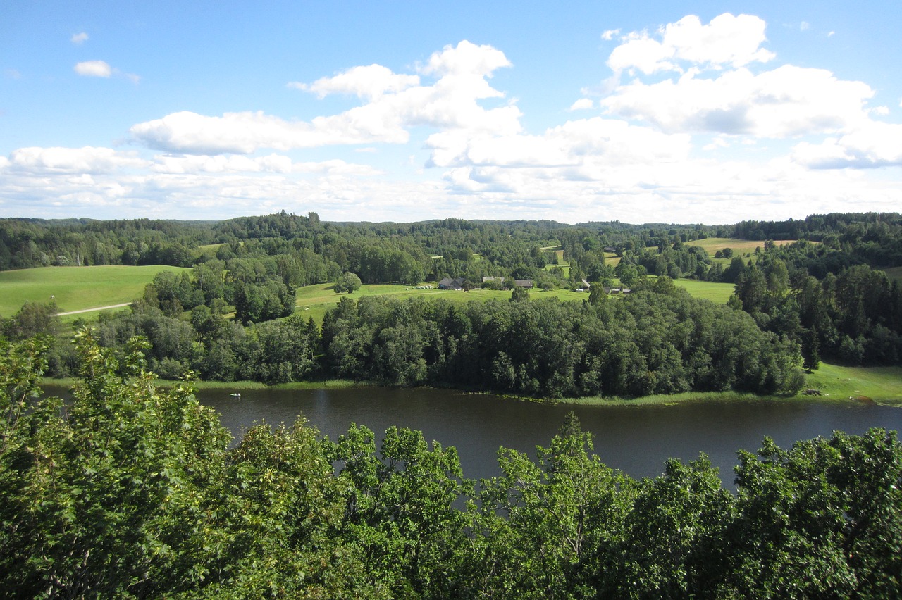 Latvia, Kraštovaizdis, Gamta, Europa, Upė, Turizmas, Žolė, Žalias, Dangus, Medis