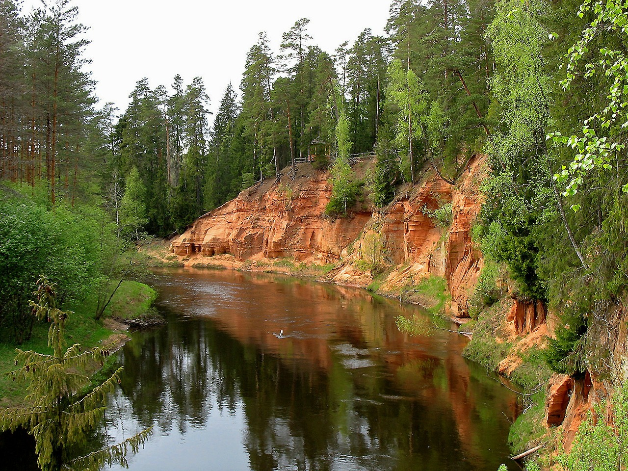Latvia, Miškas, Medžiai, Miškai, Srautas, Upė, Vanduo, Apmąstymai, Dangus, Gamta