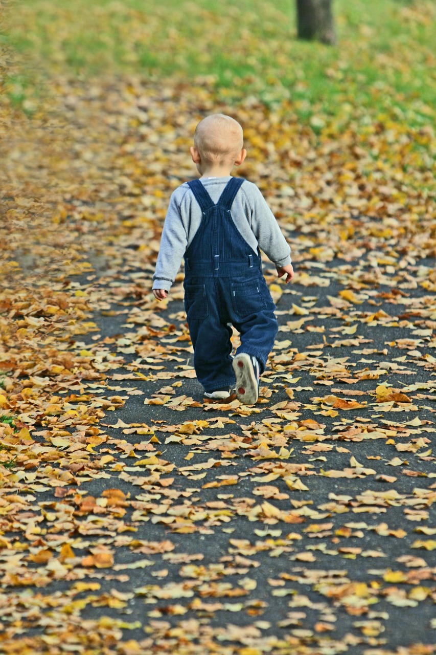 Kūdikis, Parkas, Ruduo, Kritimo Lapai, Laimingas, Medis, Bumu Švieži, Sodas, Jaukus, Malonumas