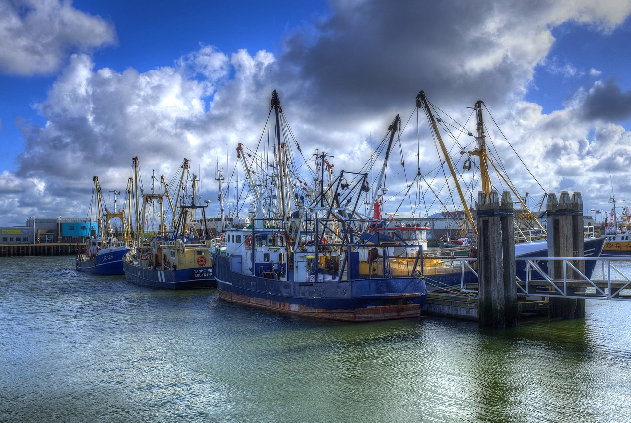 Lauwersoog, Uostas, Žuvininkystė, Žvejybos Laivai, Vanduo, Žvejybos Laivas, Valtis, Nyderlandai, Laivas, Groningenas