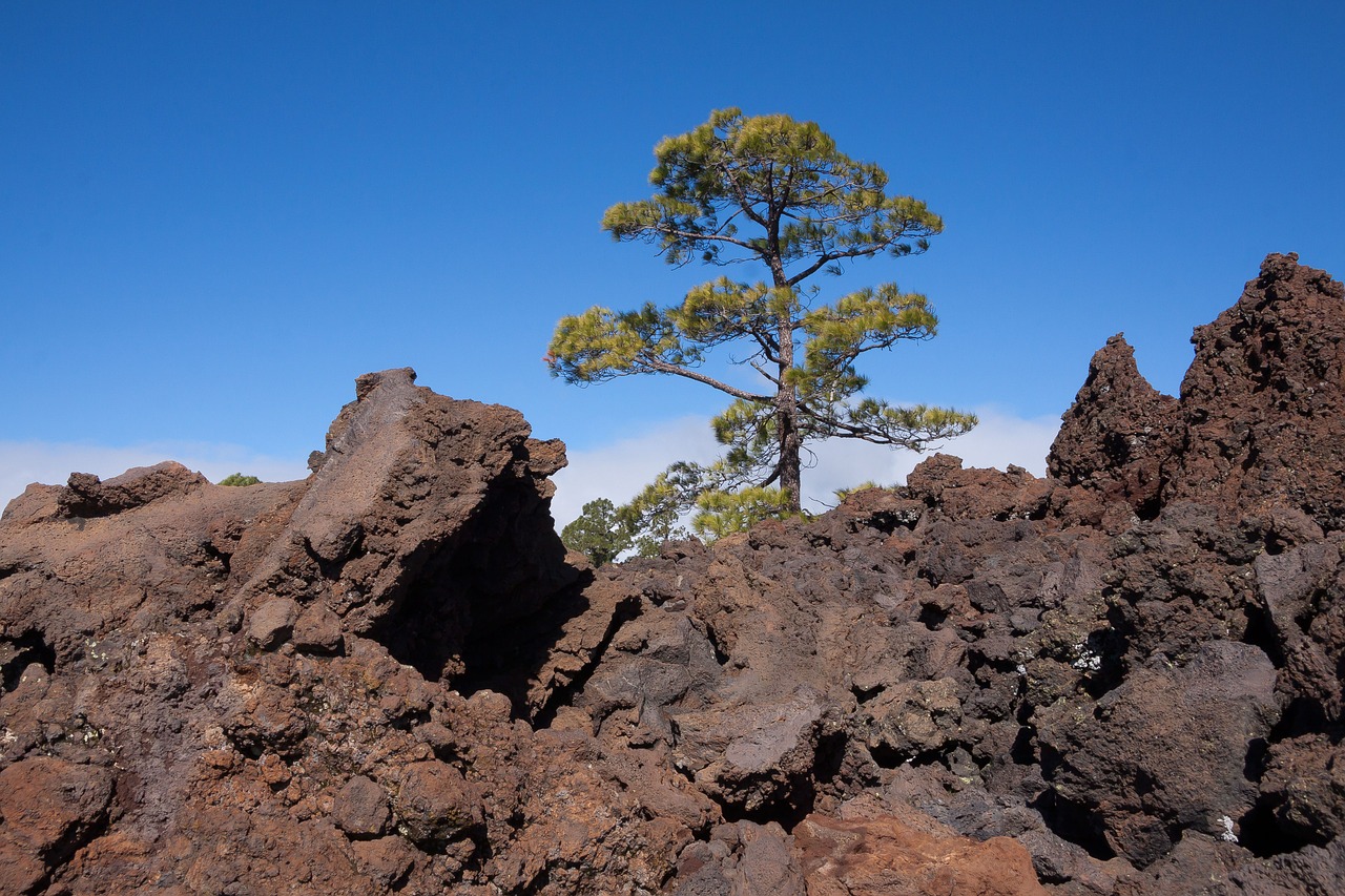 Lava, Lava Rock, Lavos Laukai, Rieduliai, Mėnulio Kraštovaizdis, Tenerifė, Teide, Nacionalinis Parkas, Lavos Srautas, Karg